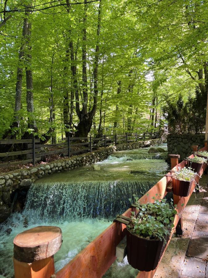 De La Villa Brezovice Luaran gambar